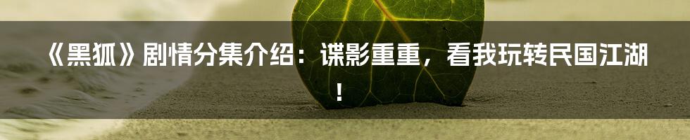 《黑狐》剧情分集介绍:谍影重重,看我玩转民国江湖!