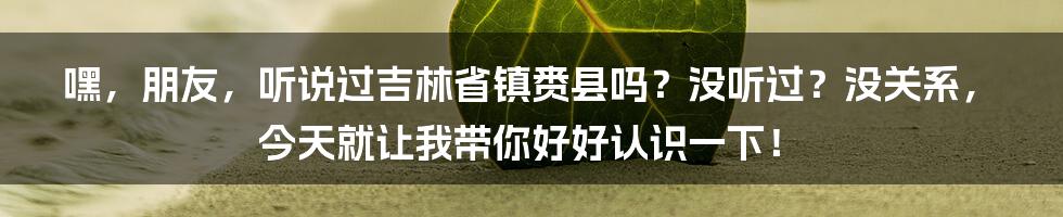 嘿,朋友,听说过吉林省镇赉县吗?没听过?没关系,今天就让我带你好好认识一下!