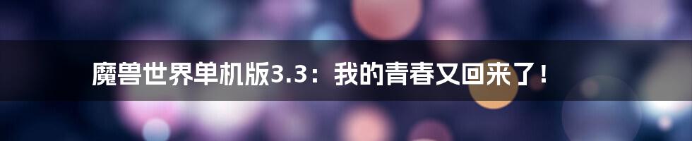 魔兽世界单机版3.3：我的青春又回来了！