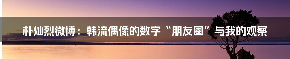 朴灿烈微博：韩流偶像的数字“朋友圈”与我的观察
