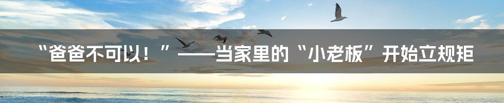 “爸爸不可以！”——当家里的“小老板”开始立规矩