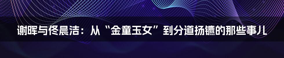 谢晖与佟晨洁：从“金童玉女”到分道扬镳的那些事儿
