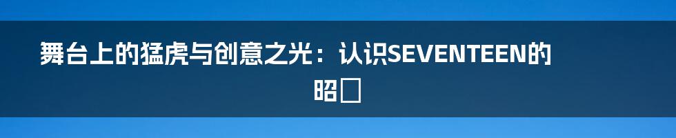 舞台上的猛虎与创意之光：认识SEVENTEEN的昭燏