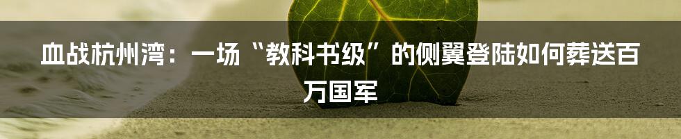 血战杭州湾：一场“教科书级”的侧翼登陆如何葬送百万国军