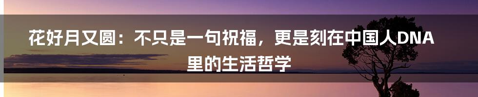 花好月又圆：不只是一句祝福，更是刻在中国人DNA里的生活哲学