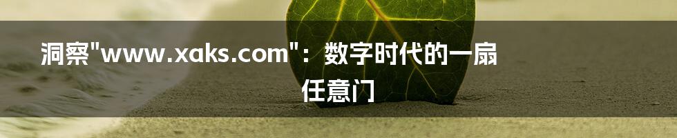 洞察"www.xaks.com"：数字时代的一扇任意门