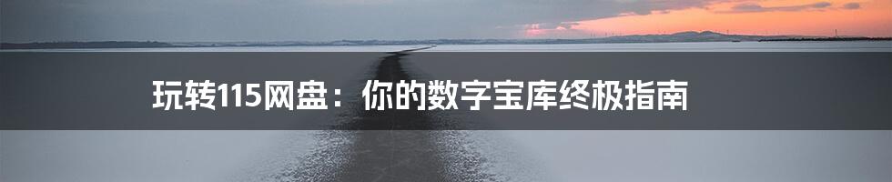 玩转115网盘：你的数字宝库终极指南
