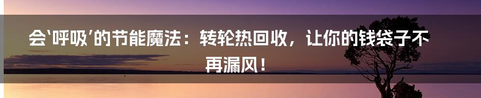 会‘呼吸’的节能魔法：转轮热回收，让你的钱袋子不再漏风！