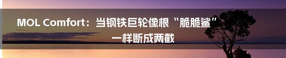 MOL Comfort：当钢铁巨轮像根“脆脆鲨”一样断成两截