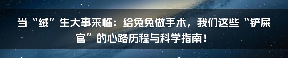 当“绒”生大事来临：给兔兔做手术，我们这些“铲屎官”的心路历程与科学指南！