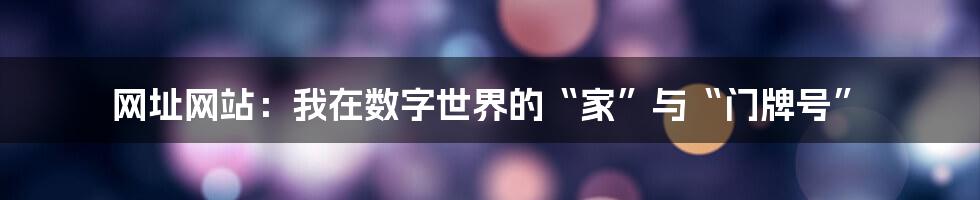 网址网站：我在数字世界的“家”与“门牌号”