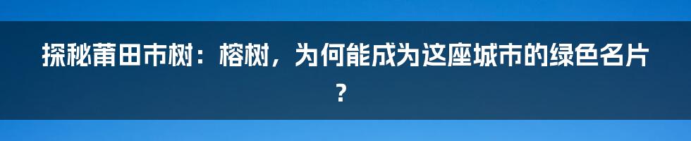 探秘莆田市树：榕树，为何能成为这座城市的绿色名片？