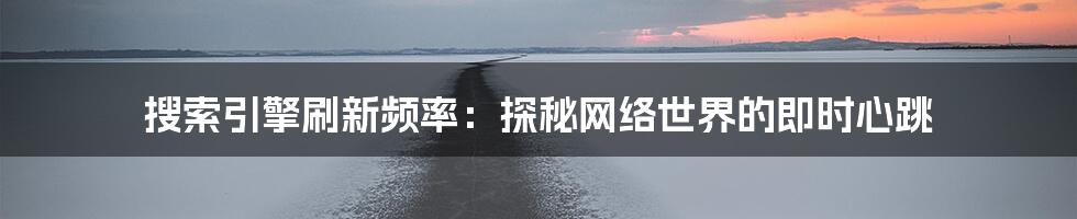 搜索引擎刷新频率：探秘网络世界的即时心跳