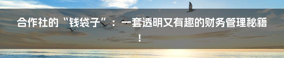合作社的“钱袋子”：一套透明又有趣的财务管理秘籍！