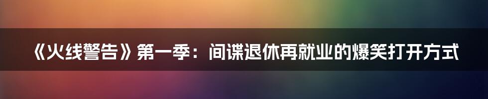 《火线警告》第一季：间谍退休再就业的爆笑打开方式