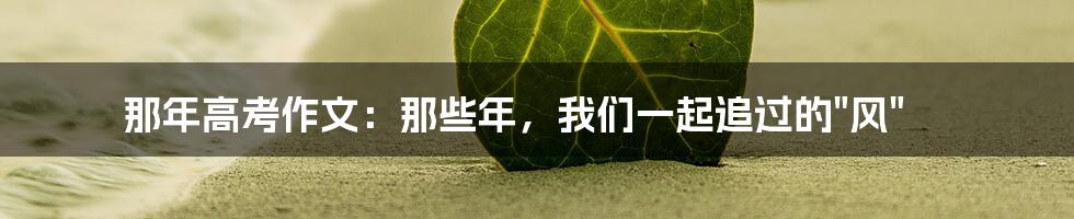 那年高考作文：那些年，我们一起追过的"风"