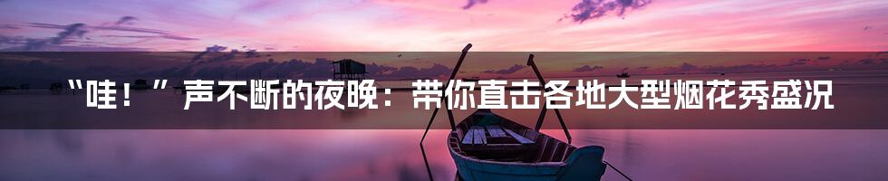 “哇！”声不断的夜晚：带你直击各地大型烟花秀盛况