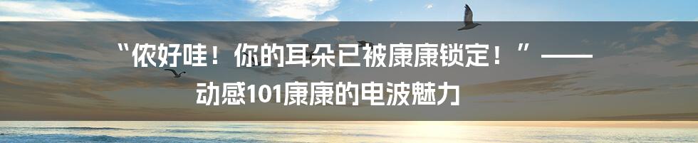 “侬好哇！你的耳朵已被康康锁定！”—— 动感101康康的电波魅力