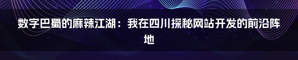 数字巴蜀的麻辣江湖：我在四川探秘网站开发的前沿阵地