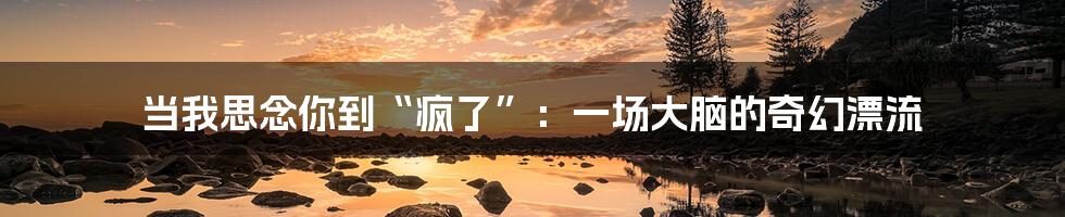 当我思念你到“疯了”：一场大脑的奇幻漂流