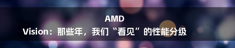 AMD Vision：那些年，我们“看见”的性能分级