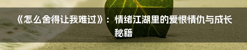 《怎么舍得让我难过》：情绪江湖里的爱恨情仇与成长秘籍
