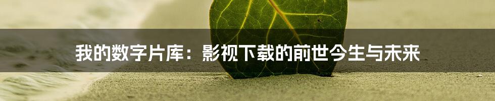 我的数字片库：影视下载的前世今生与未来