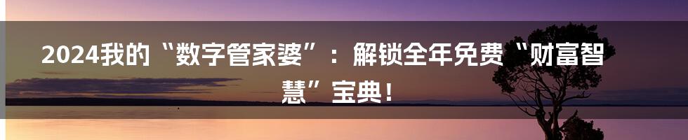 2024我的“数字管家婆”：解锁全年免费“财富智慧”宝典！