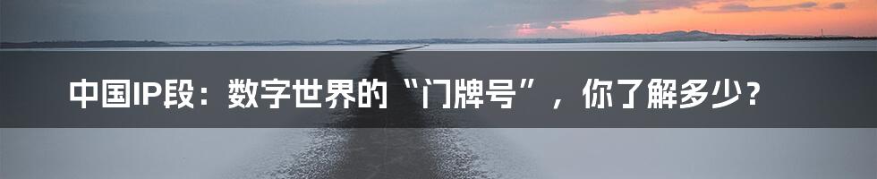 中国IP段：数字世界的“门牌号”，你了解多少？