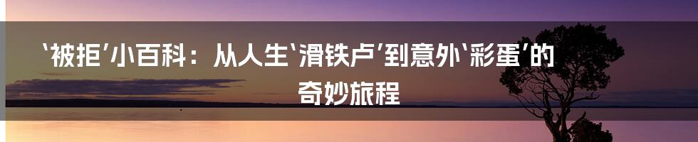 ‘被拒’小百科：从人生‘滑铁卢’到意外‘彩蛋’的奇妙旅程