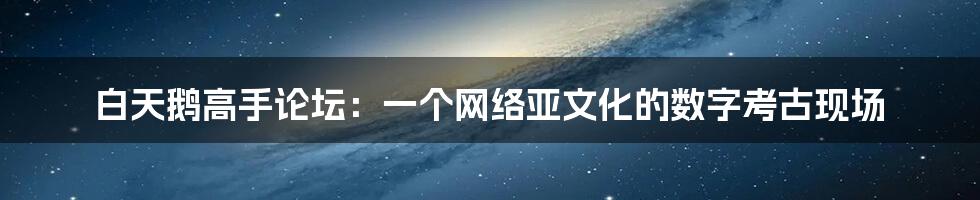 白天鹅高手论坛：一个网络亚文化的数字考古现场