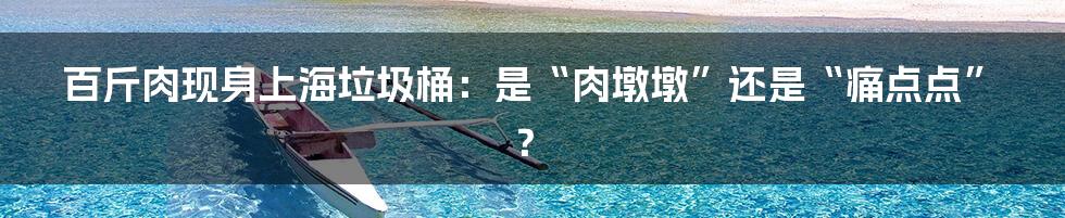 百斤肉现身上海垃圾桶：是“肉墩墩”还是“痛点点”？