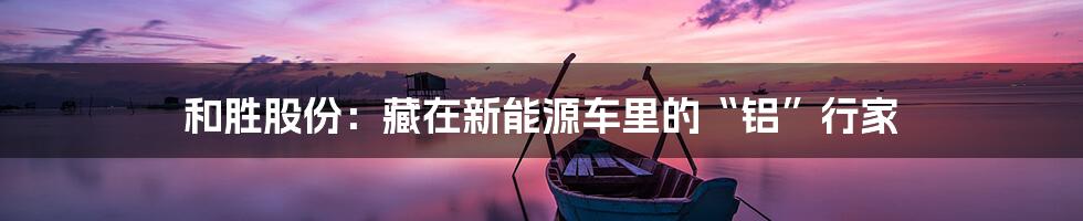 和胜股份：藏在新能源车里的“铝”行家