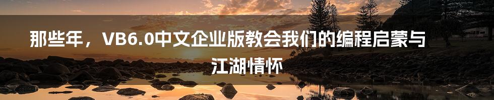 那些年，VB6.0中文企业版教会我们的编程启蒙与江湖情怀