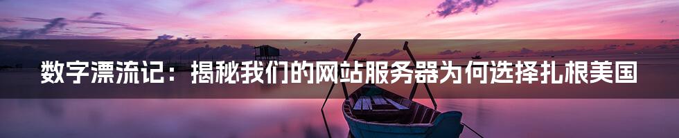 数字漂流记：揭秘我们的网站服务器为何选择扎根美国