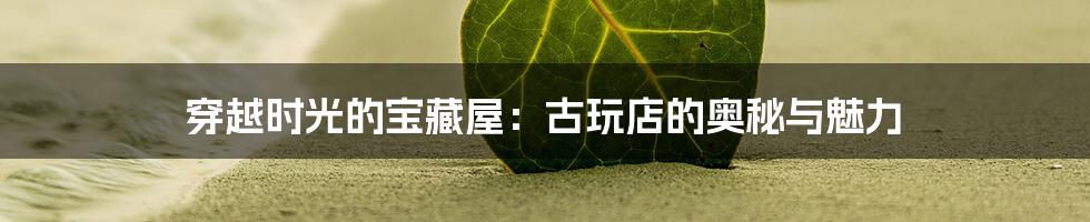 穿越时光的宝藏屋：古玩店的奥秘与魅力