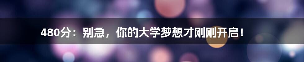 480分：别急，你的大学梦想才刚刚开启！