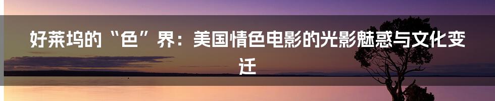好莱坞的“色”界：美国情色电影的光影魅惑与文化变迁