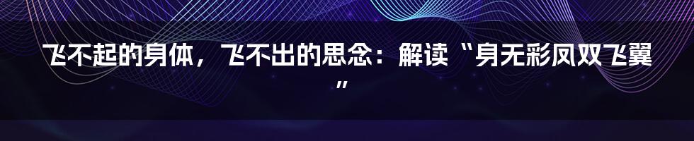飞不起的身体，飞不出的思念：解读“身无彩凤双飞翼”
