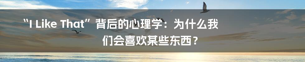 “I Like That”背后的心理学：为什么我们会喜欢某些东西？
