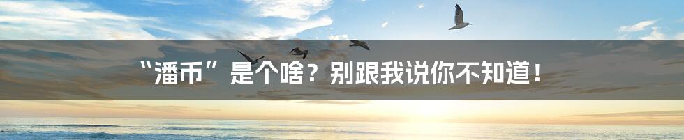 “潘币”是个啥？别跟我说你不知道！