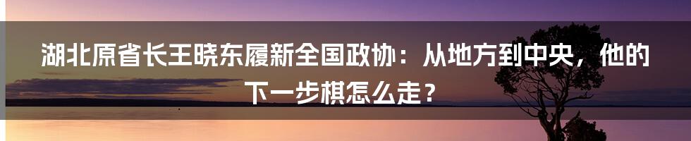 湖北原省长王晓东履新全国政协：从地方到中央，他的下一步棋怎么走？
