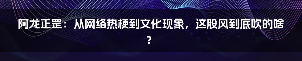 阿龙正罡：从网络热梗到文化现象，这股风到底吹的啥？