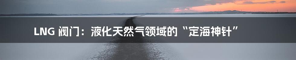 LNG 阀门：液化天然气领域的“定海神针”