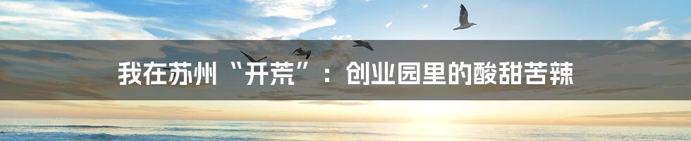 我在苏州“开荒”：创业园里的酸甜苦辣