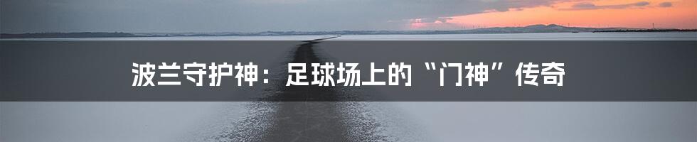 波兰守护神：足球场上的“门神”传奇