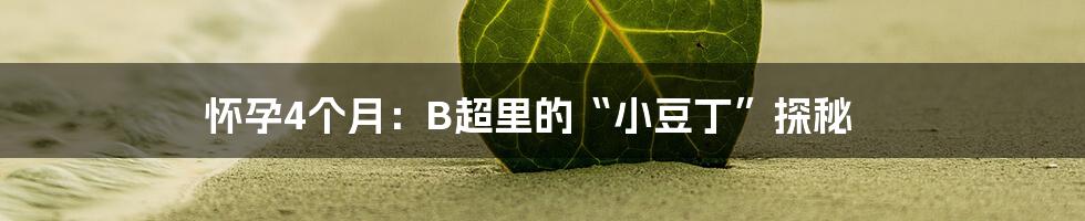 怀孕4个月：B超里的“小豆丁”探秘