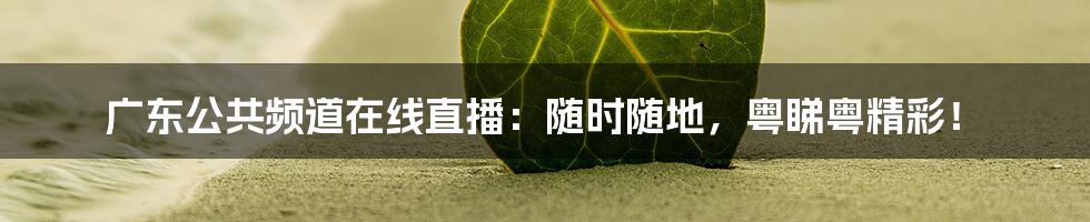 广东公共频道在线直播：随时随地，粤睇粤精彩！