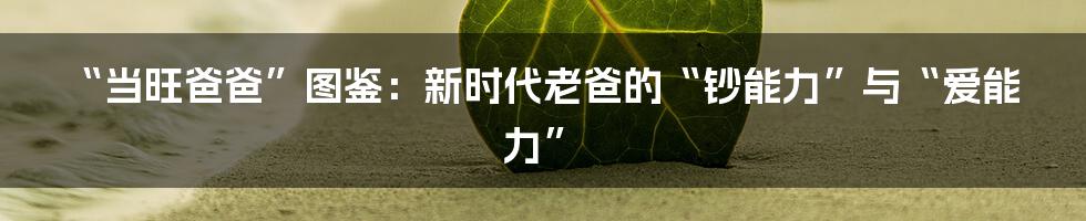 “当旺爸爸”图鉴：新时代老爸的“钞能力”与“爱能力”