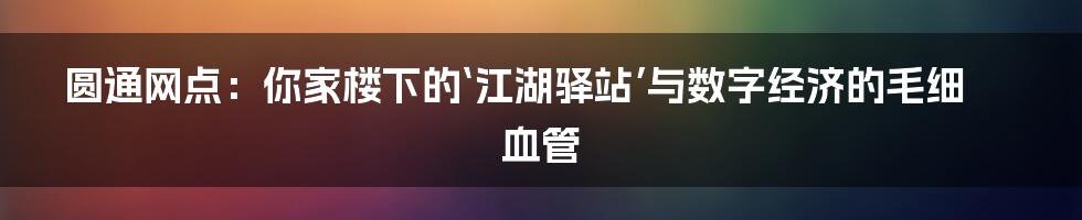 圆通网点：你家楼下的‘江湖驿站’与数字经济的毛细血管